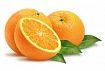 Апельсины Крупные (14,5-15 кг/кор)