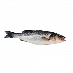 Рыба Сибас 300-400 г (свежемороженая продукция)