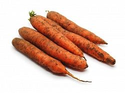 Морковь Отечественная 