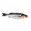 Рыба Сибас 300-400 г (свежемороженая продукция)